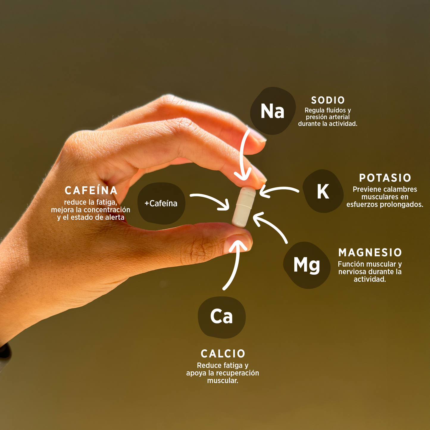 Electrolitos + 60mg Cafeína | Frasco con 60 cápsulas (30 dosis)